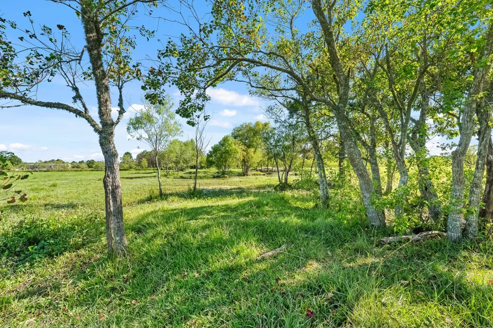 734 County Road 3011 Dayton, TX 77535