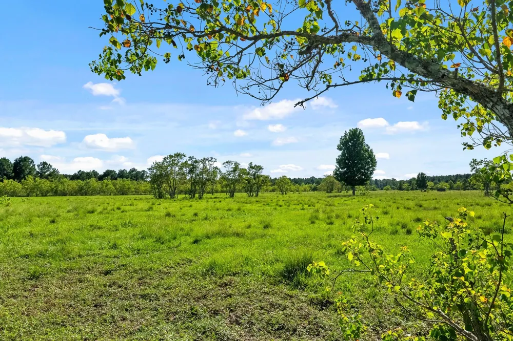 734 County Road 3011 Dayton, TX 77535