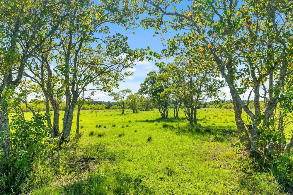 734 County Road 3011 Dayton, TX 77535
