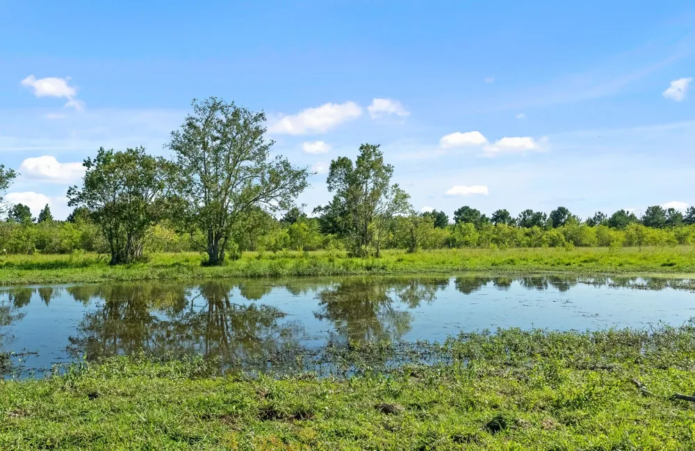 734 County Road 3011 Dayton, TX 77535