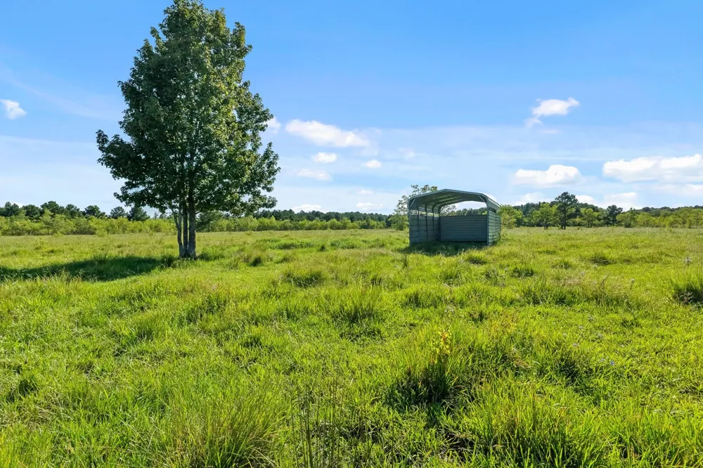 734 County Road 3011 Dayton, TX 77535