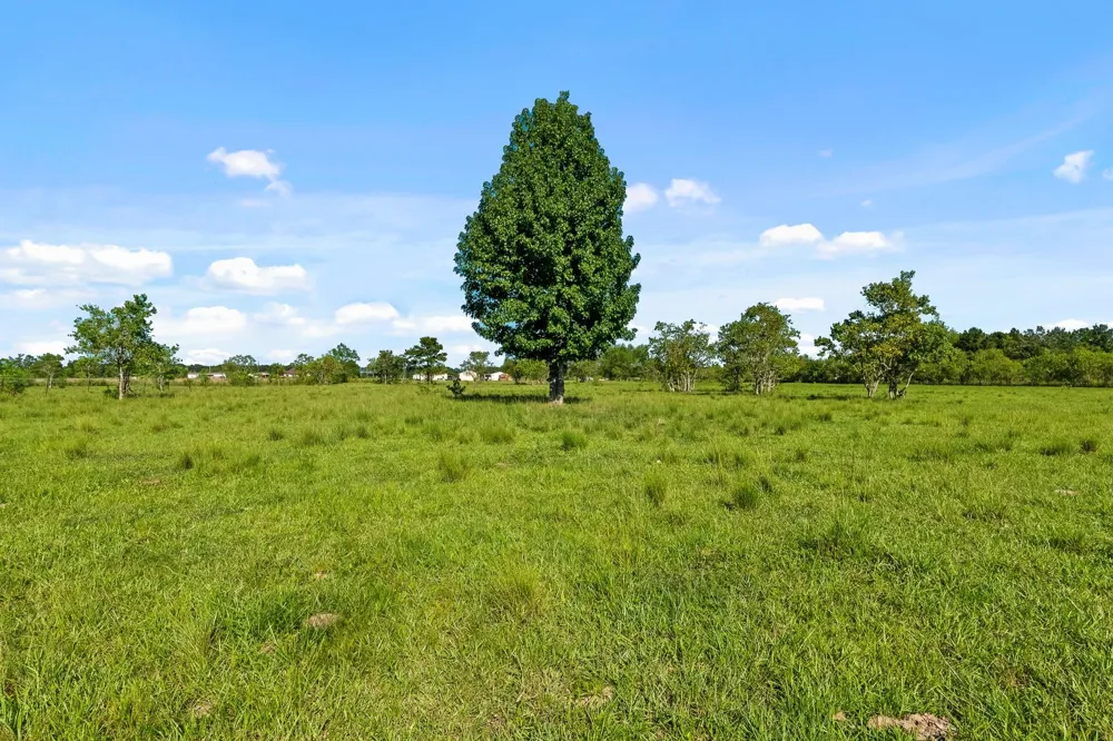 734 County Road 3011 Dayton, TX 77535