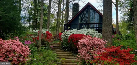 206 LAKE CAROLINE DRIVE