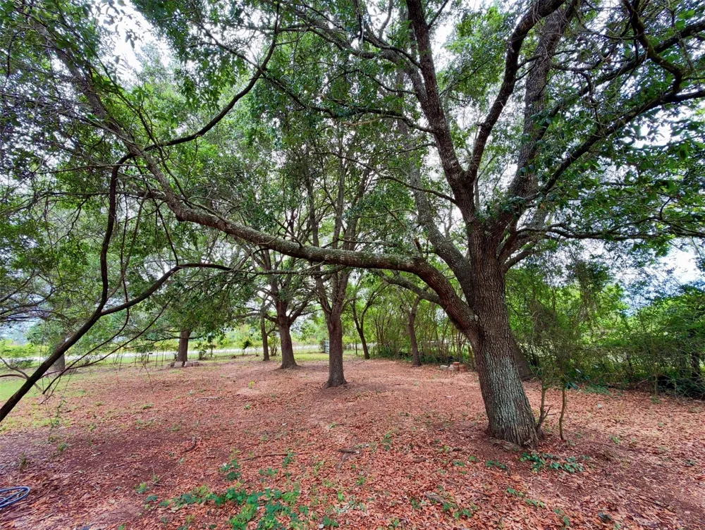 34114 Fm 1488 Road Hempstead, TX 77445
