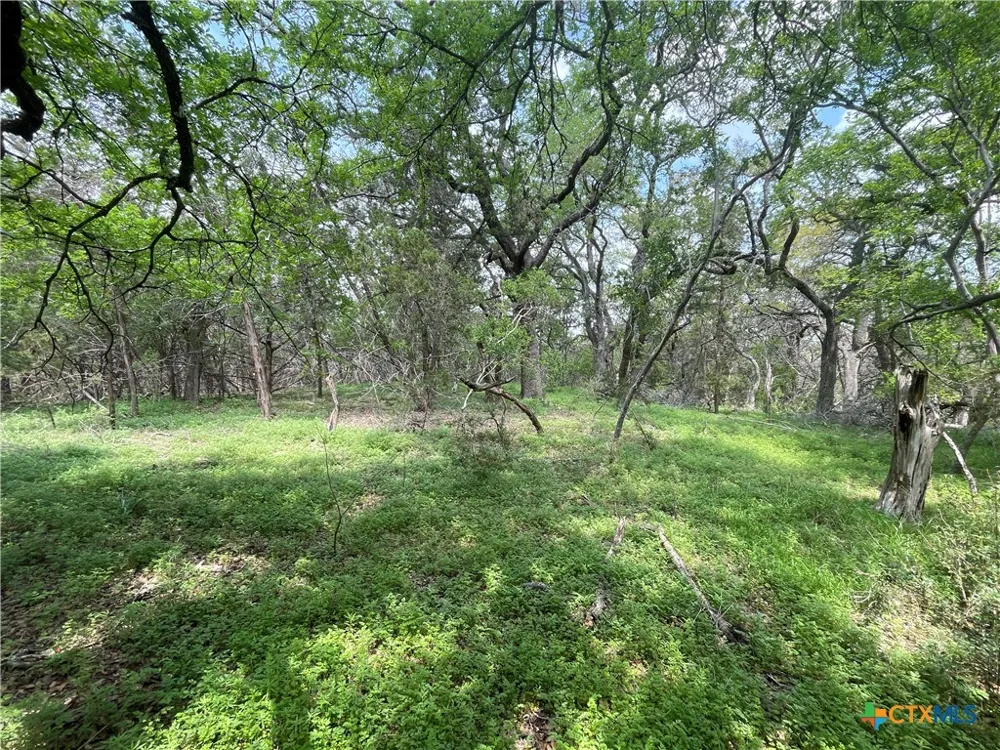 Piedras Pass San Marcos, TX 78666