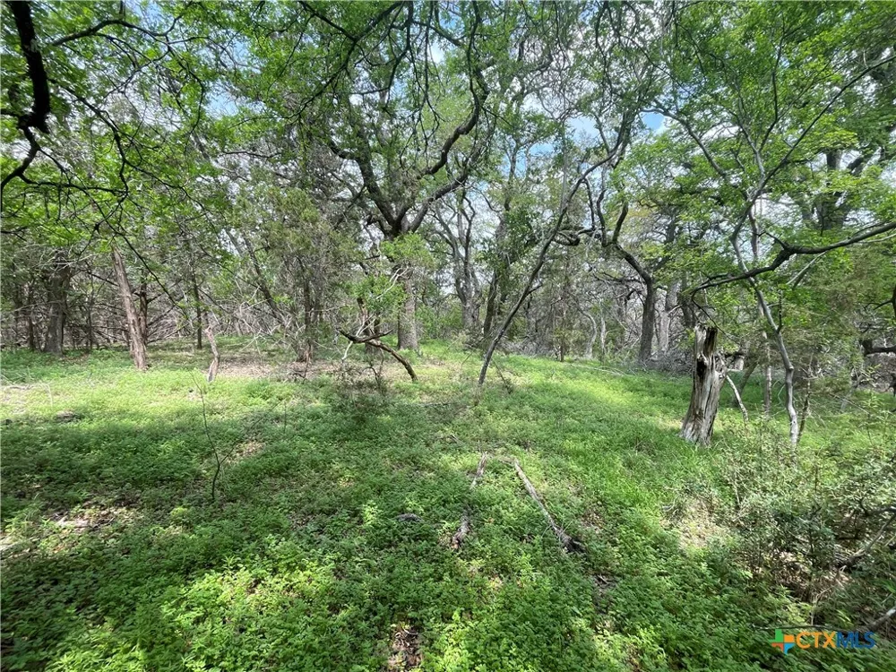 Piedras Pass San Marcos, TX 78666