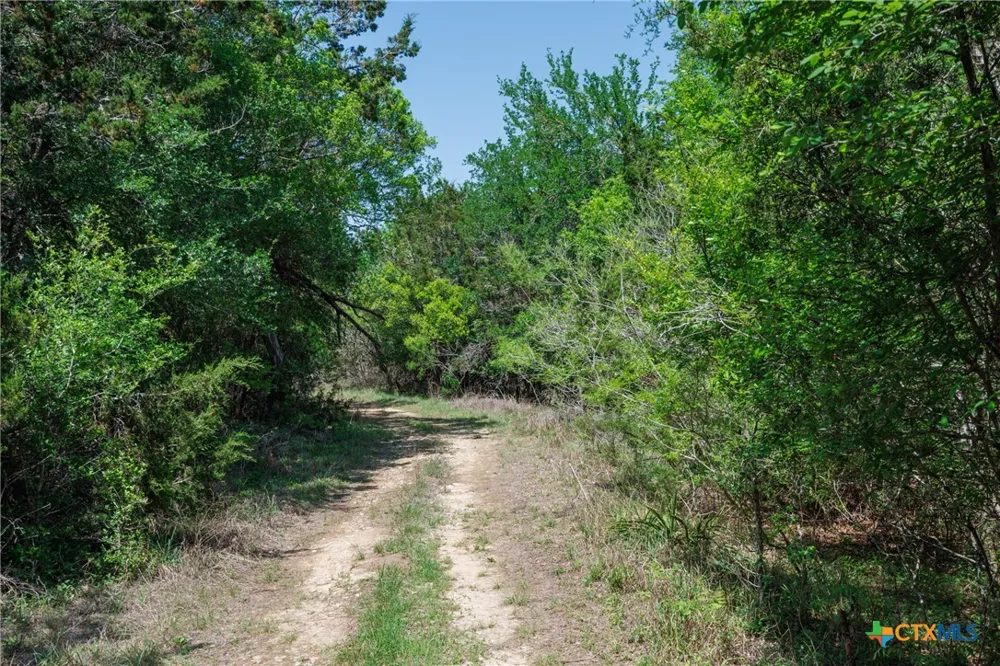 Piedras Pass San Marcos, TX 78666