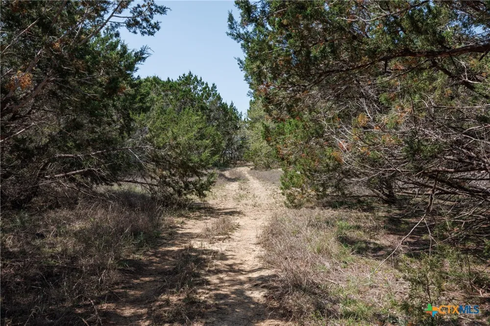 Piedras Pass San Marcos, TX 78666