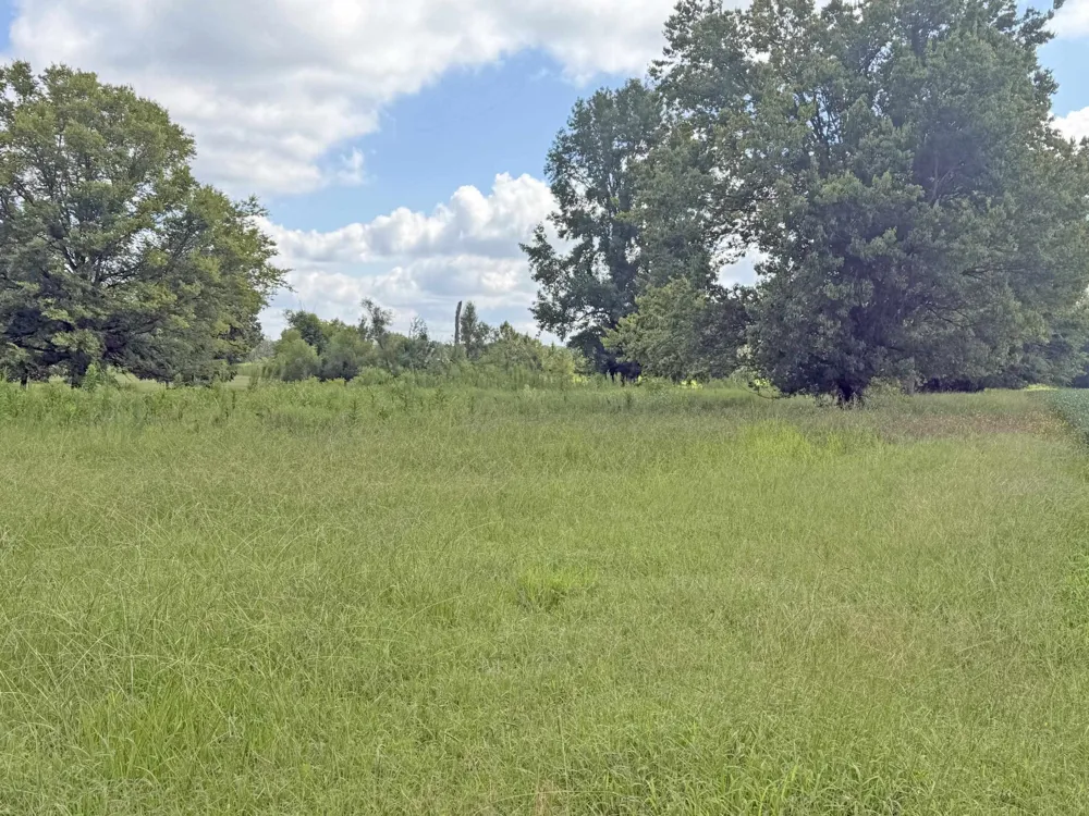2900 OAK GROVE RD Savannah, TN 38372