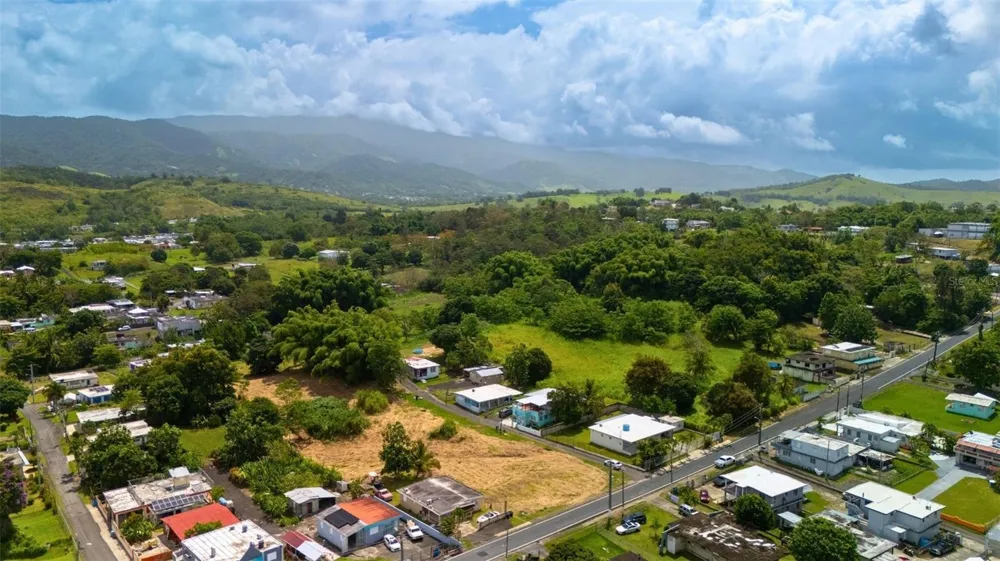 BO CEIBA NORTE 28 COM SANTANA Juncos, PR 00777
