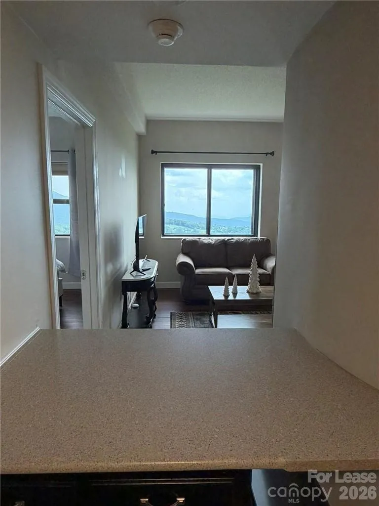 303 Sugar Top Drive #2020 Sugar Mountain, NC 28604