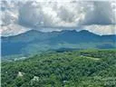 303 Sugar Top Drive #2020 Sugar Mountain, NC 28604
