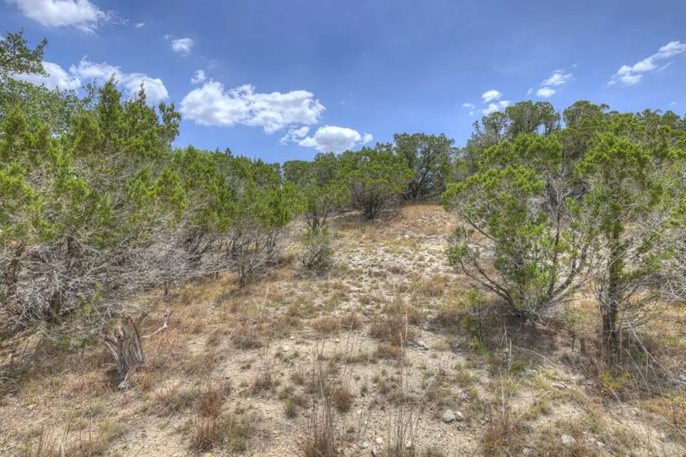 1860 Rush Creek Canyon Lake, TX 78133