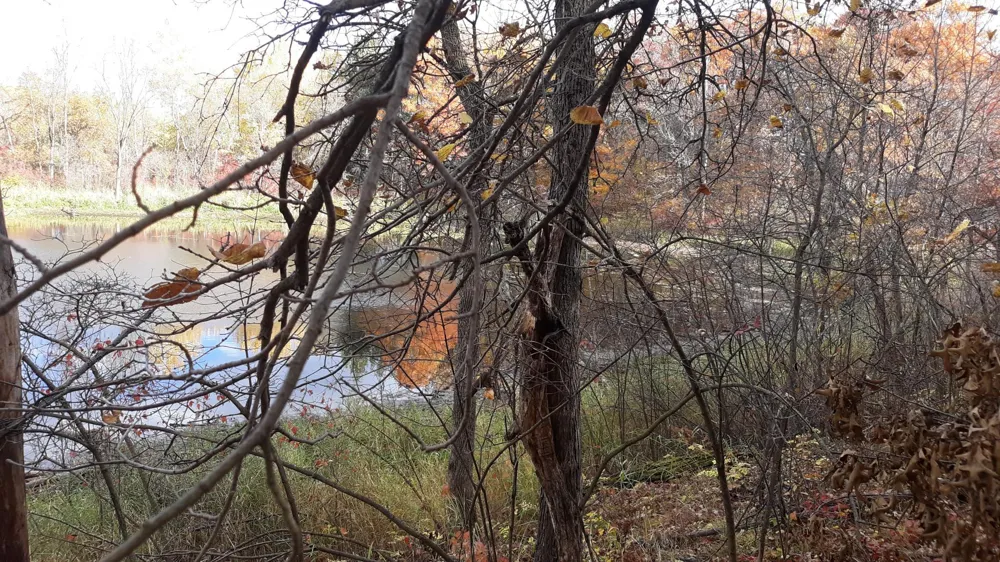 39904 Oriole Court Browerville, MN 56438