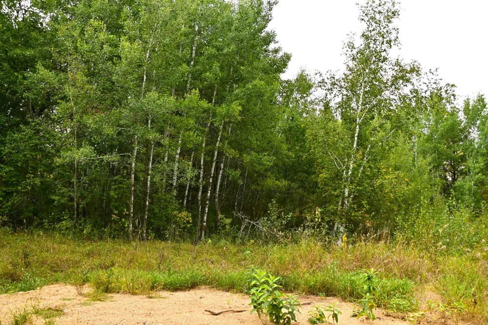39904 Oriole Court Browerville, MN 56438