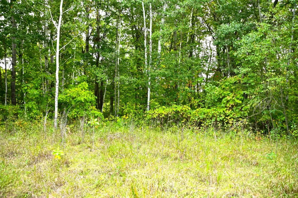 39904 Oriole Court Browerville, MN 56438