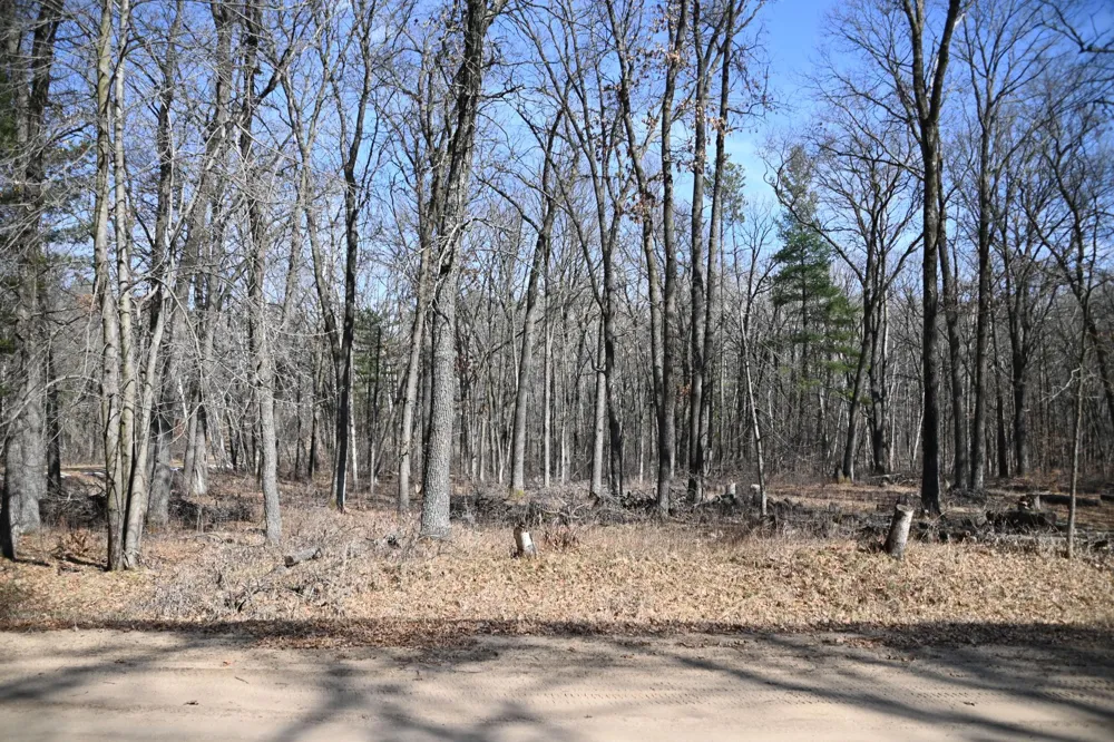 38970 Odin Court Browerville, MN 56438