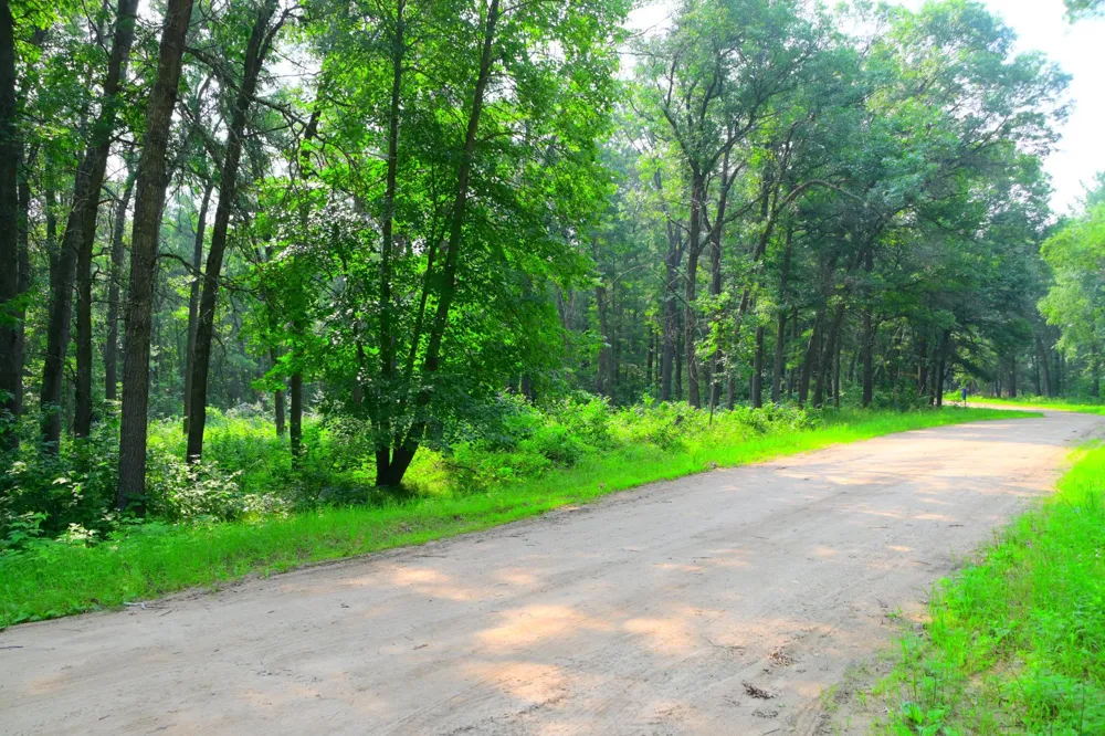 38970 Odin Court Browerville, MN 56438