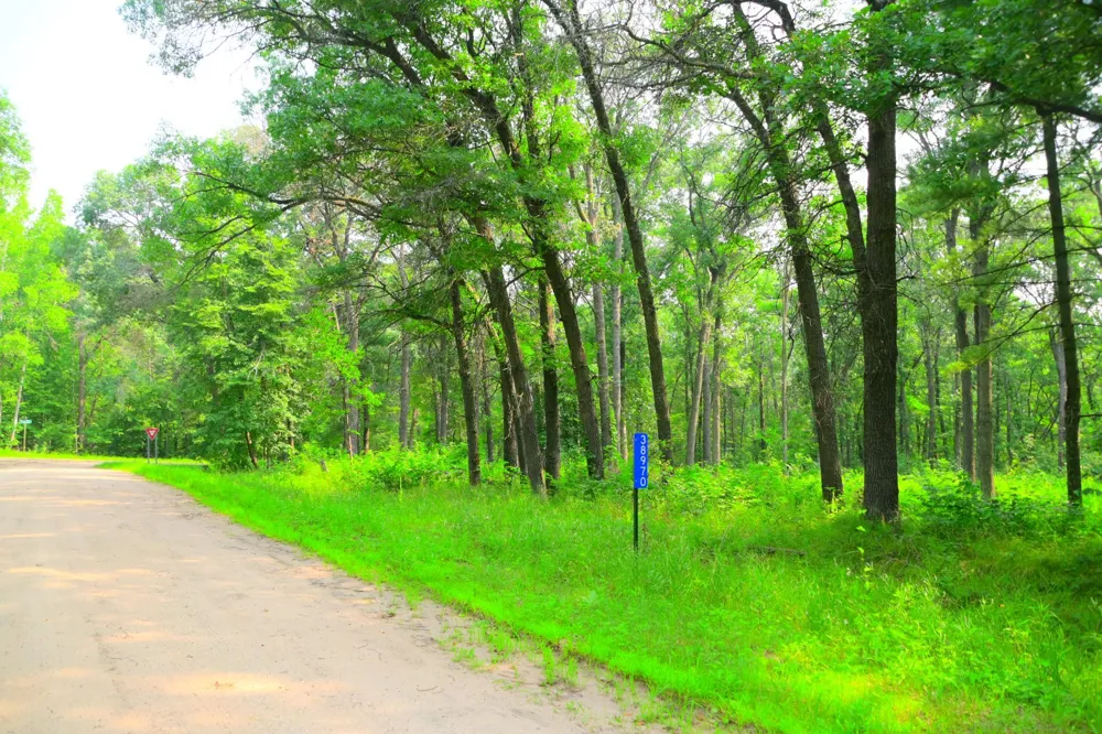 38970 Odin Court Browerville, MN 56438