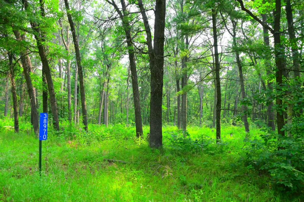 38970 Odin Court Browerville, MN 56438