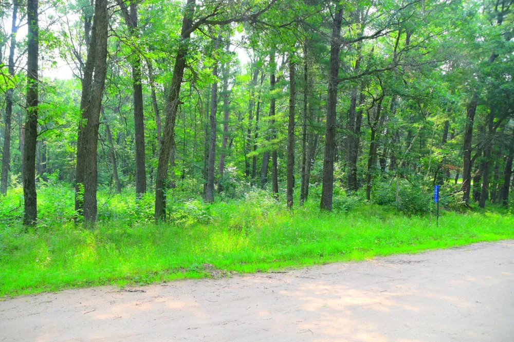 38970 Odin Court Browerville, MN 56438