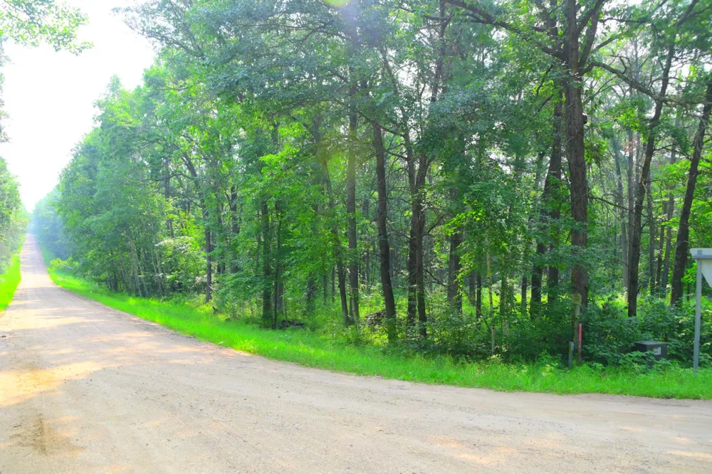 38970 Odin Court Browerville, MN 56438