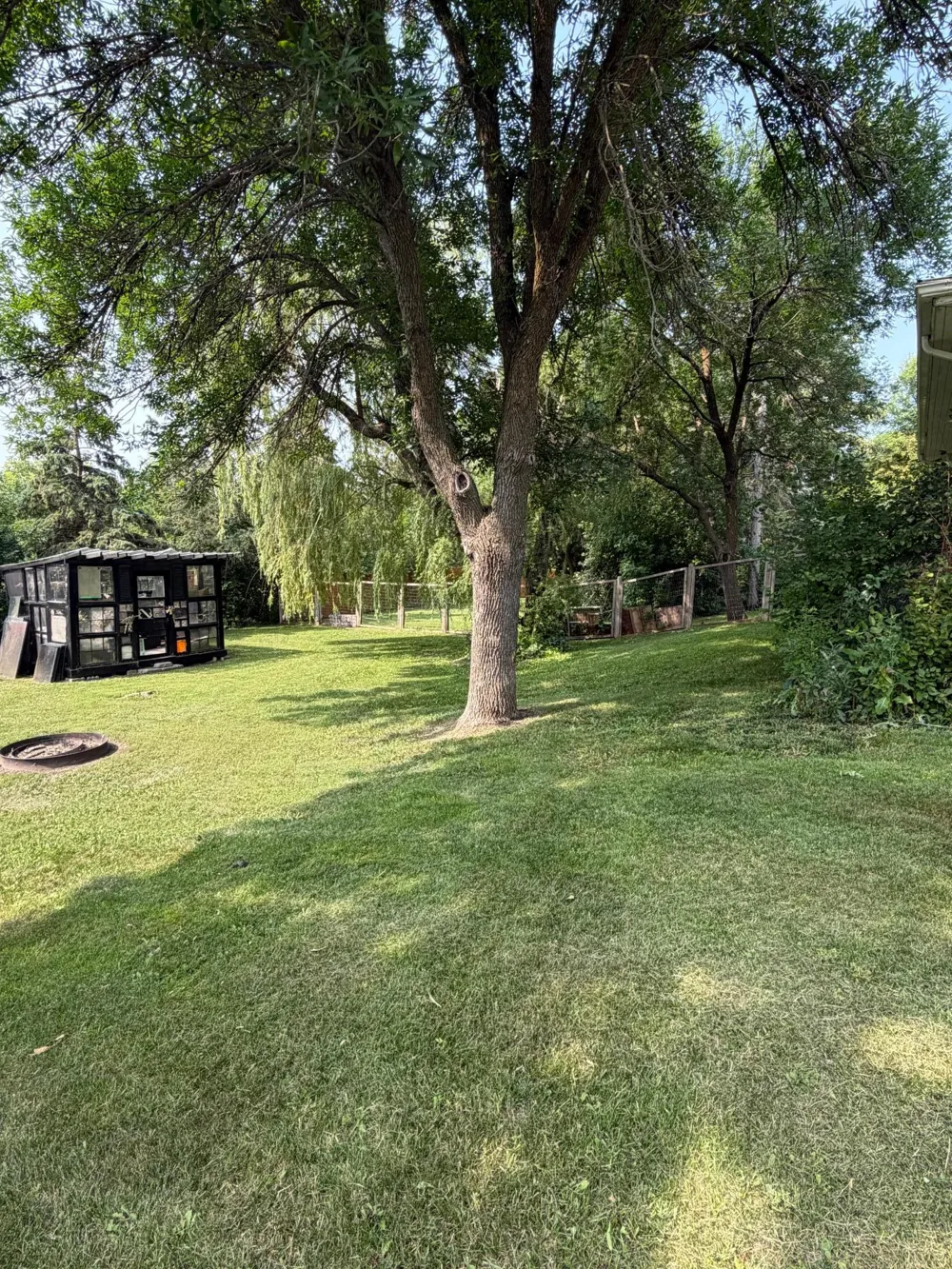 805 Elm Avenue S Hallock, MN 56728