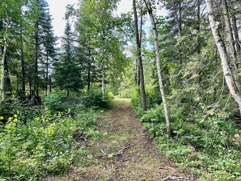 21761 Bemis Hill Forest Road Salol, MN 56756