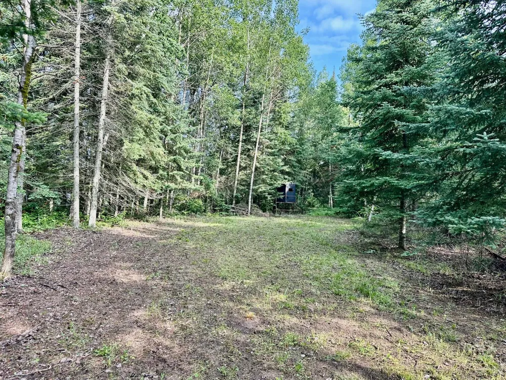 21761 Bemis Hill Forest Road Salol, MN 56756