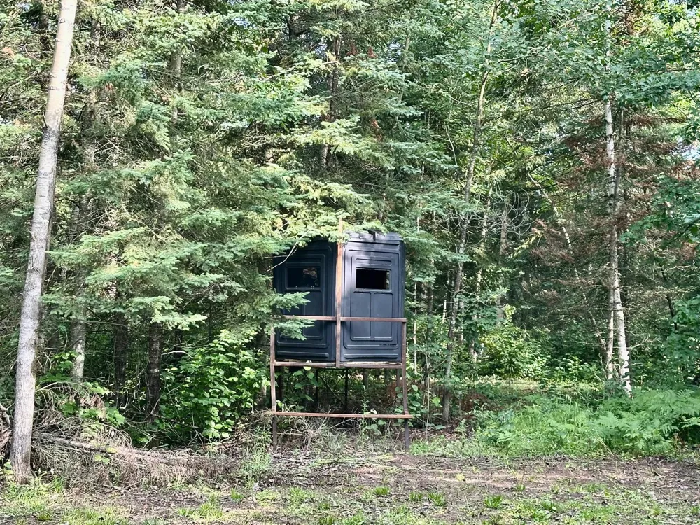 21761 Bemis Hill Forest Road Salol, MN 56756