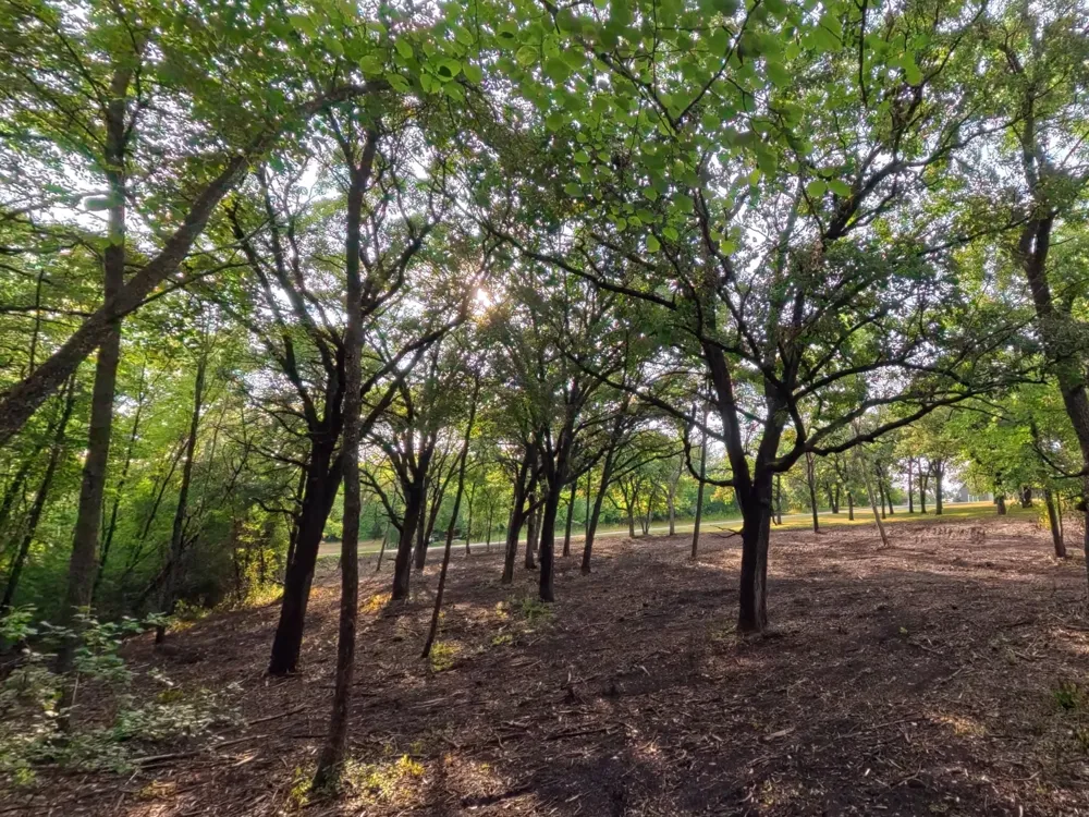 Lot 2 S Le Homme Dieu Drive NE Alexandria, MN 56308