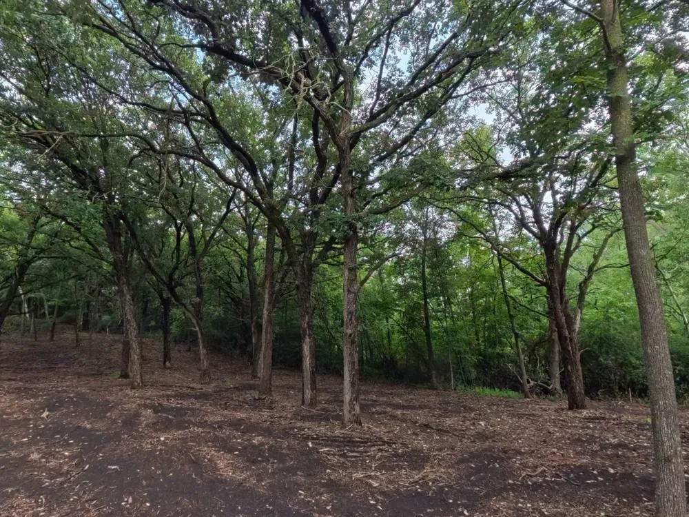 Lot 2 S Le Homme Dieu Drive NE Alexandria, MN 56308