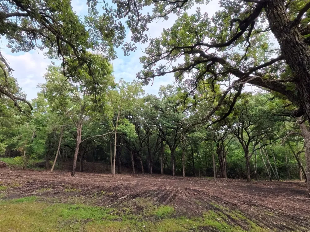 Lot 2 S Le Homme Dieu Drive NE Alexandria, MN 56308