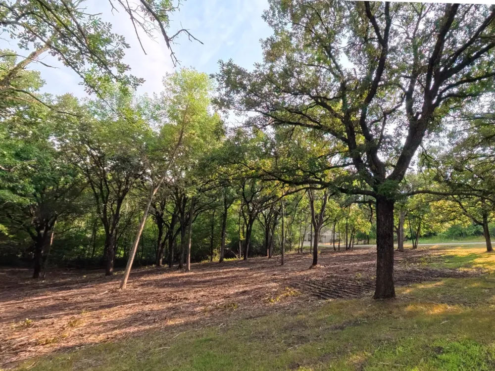 Lot 2 S Le Homme Dieu Drive NE Alexandria, MN 56308