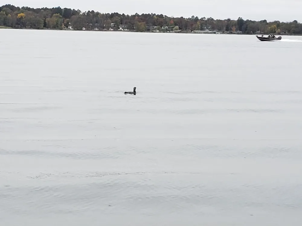 16634 Hightop Way NW Cass Lake, MN 56633
