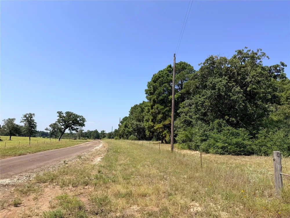 2447 Cr 261 Buffalo, TX 75831