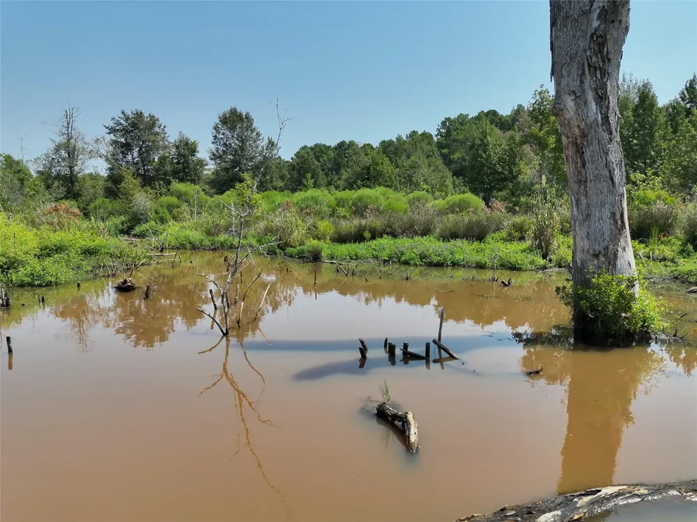 2447 Cr 261 Buffalo, TX 75831