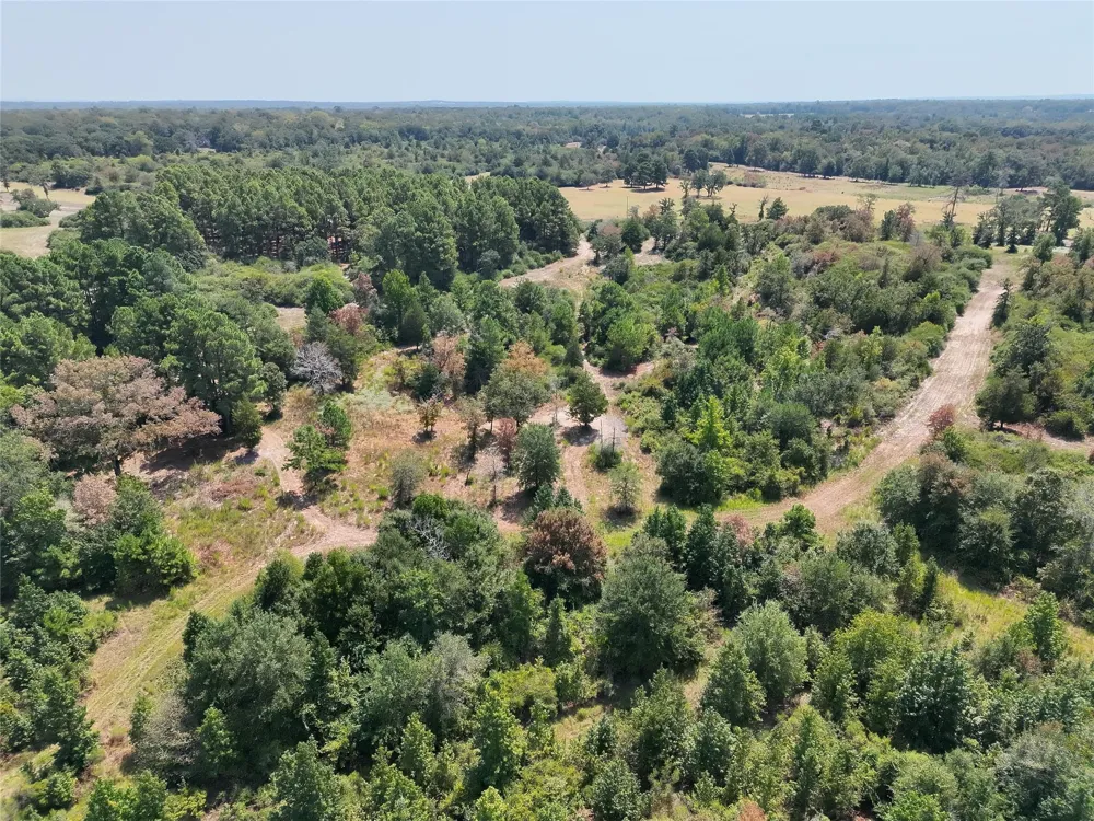 2447 Cr 261 Buffalo, TX 75831