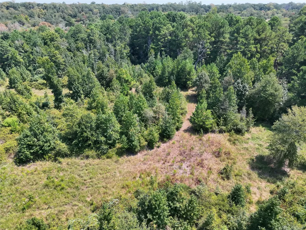 2447 Cr 261 Buffalo, TX 75831