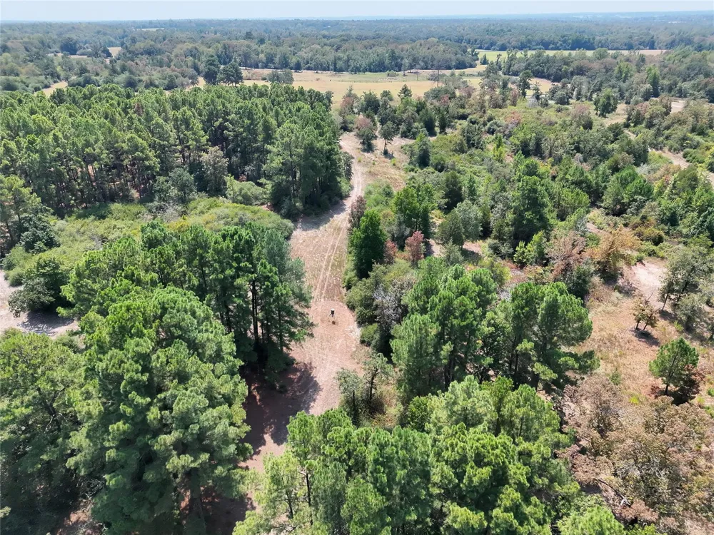 2447 Cr 261 Buffalo, TX 75831