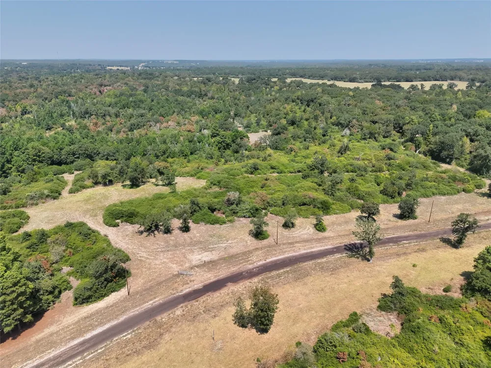 2447 Cr 261 Buffalo, TX 75831