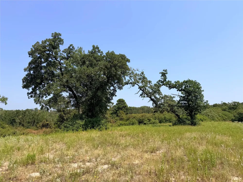 2447 Cr 261 Buffalo, TX 75831