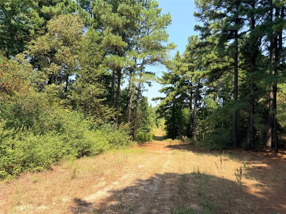 2447 Cr 261 Buffalo, TX 75831