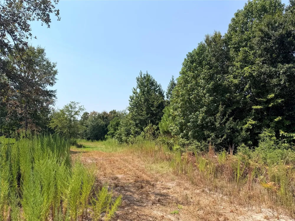 2447 Cr 261 Buffalo, TX 75831