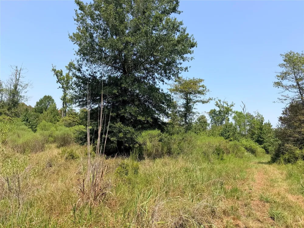 2447 Cr 261 Buffalo, TX 75831
