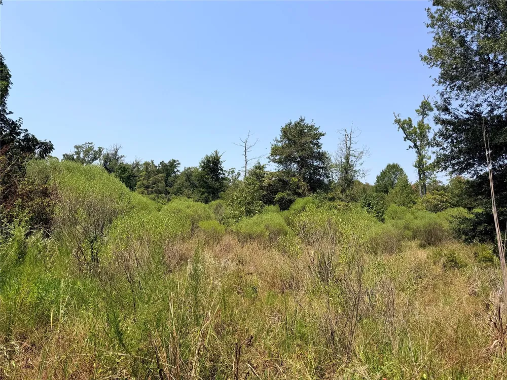 2447 Cr 261 Buffalo, TX 75831