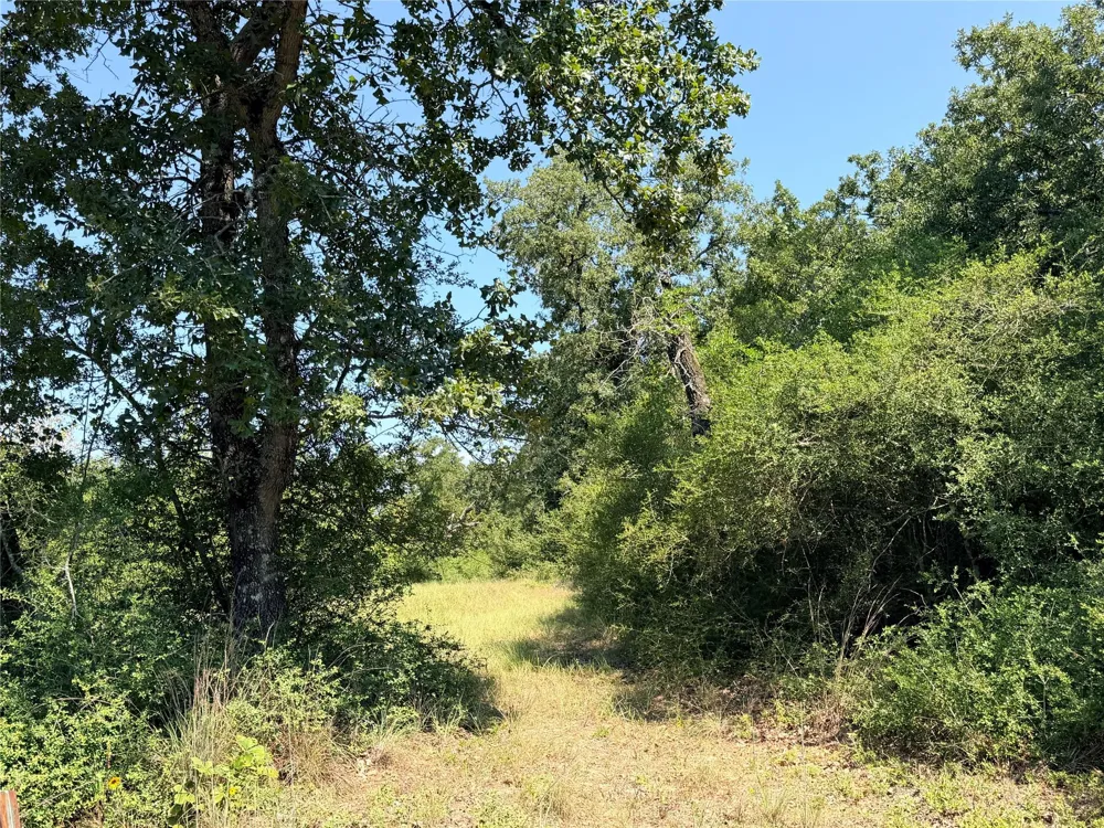 2447 Cr 261 Buffalo, TX 75831