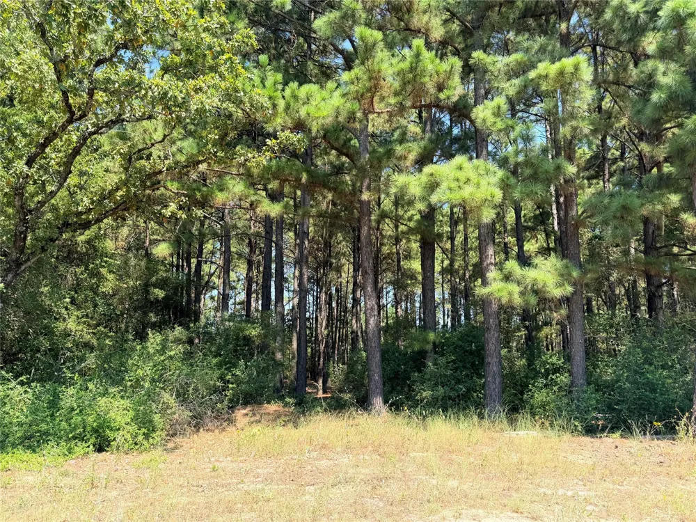 2447 Cr 261 Buffalo, TX 75831