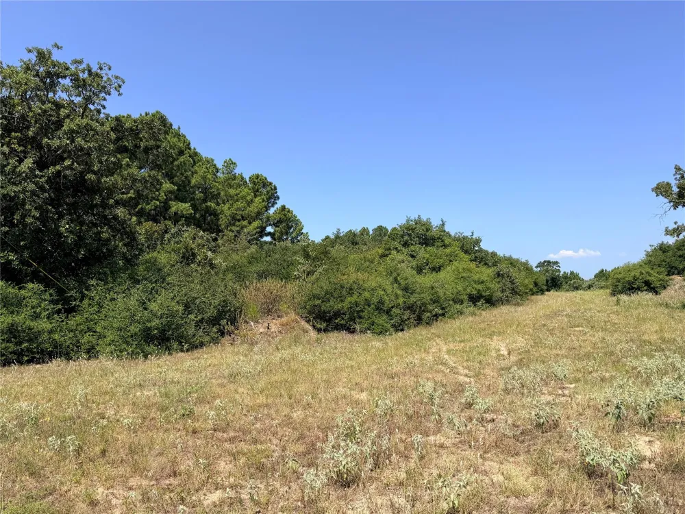 2447 Cr 261 Buffalo, TX 75831