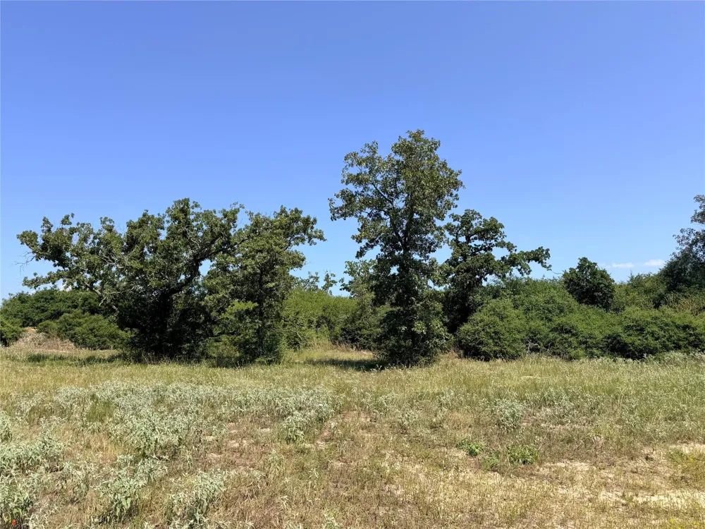 2447 Cr 261 Buffalo, TX 75831